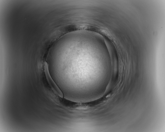 X0000088740601200705311449