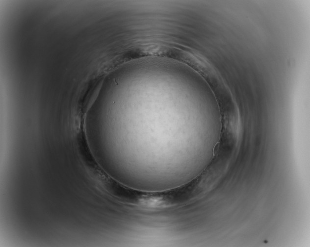 X0000088740602200705311448
