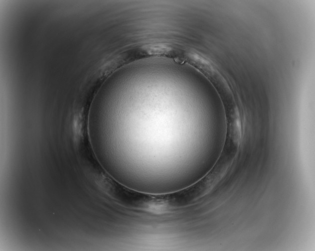 X0000088740604200705311448