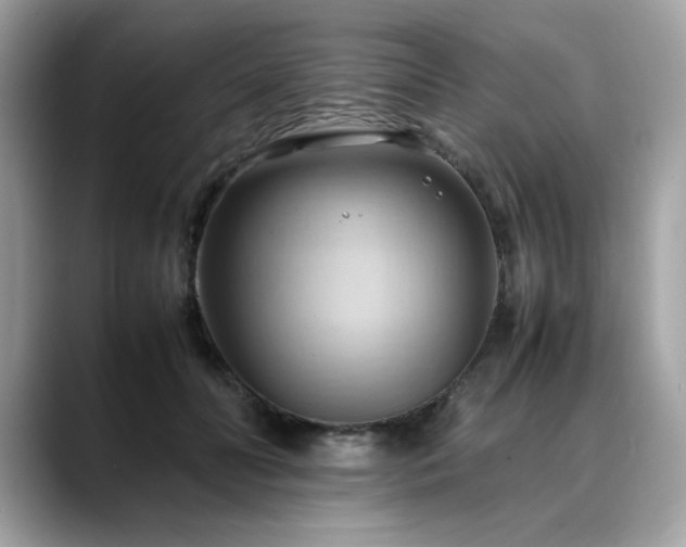 X0000088740606200705311448