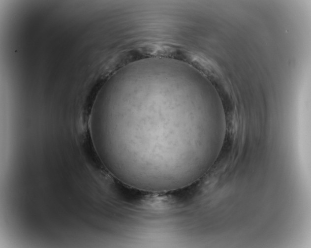 X0000088740607200705311448