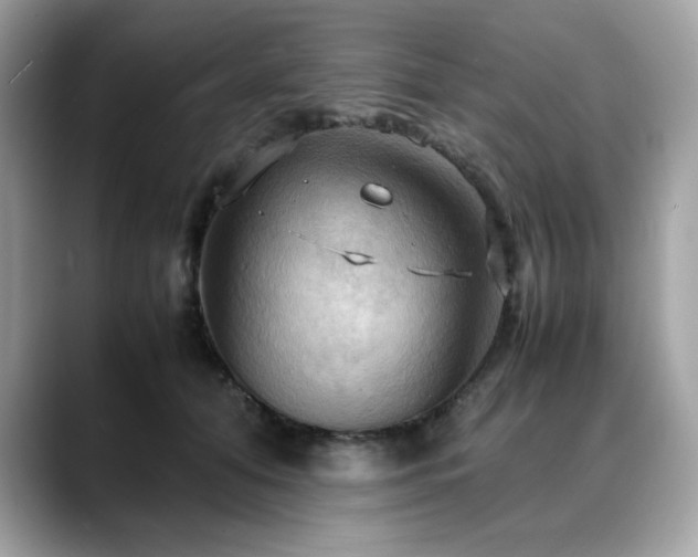 X0000088740608200705311448