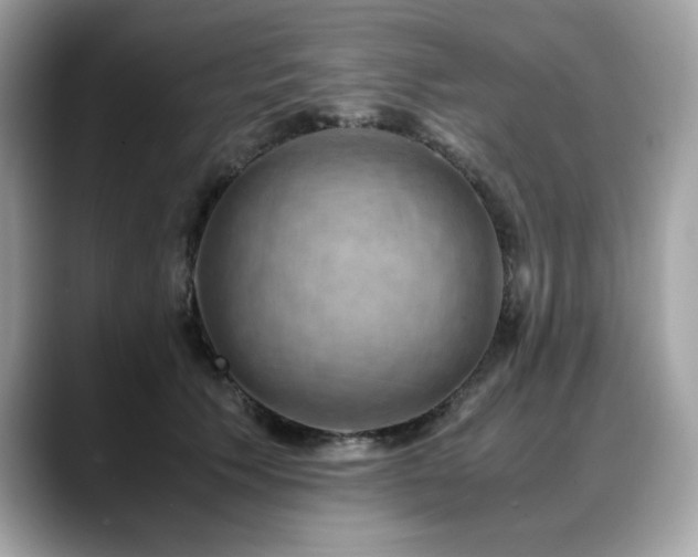 X0000088740609200705311448