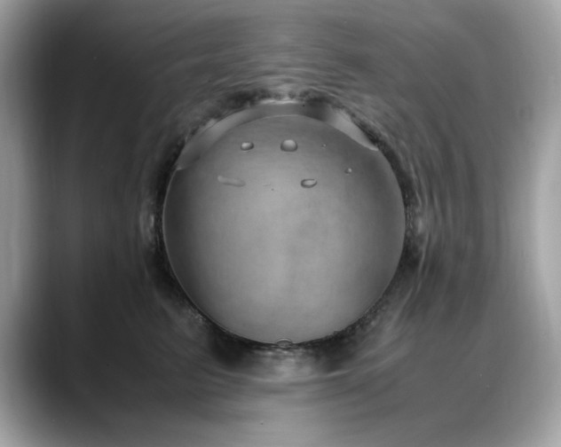 X0000088740615200705311448