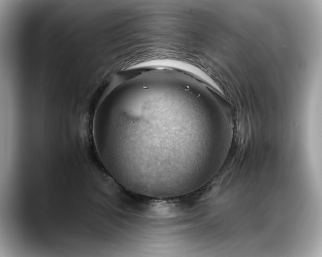 X0000088740616200705311448