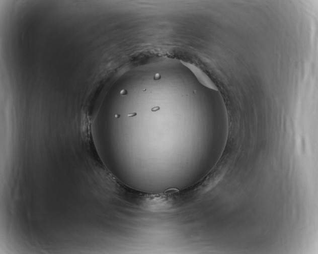 X0000088740624200705311448