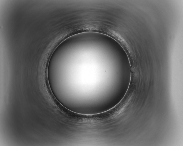 X0000088740625200705311448