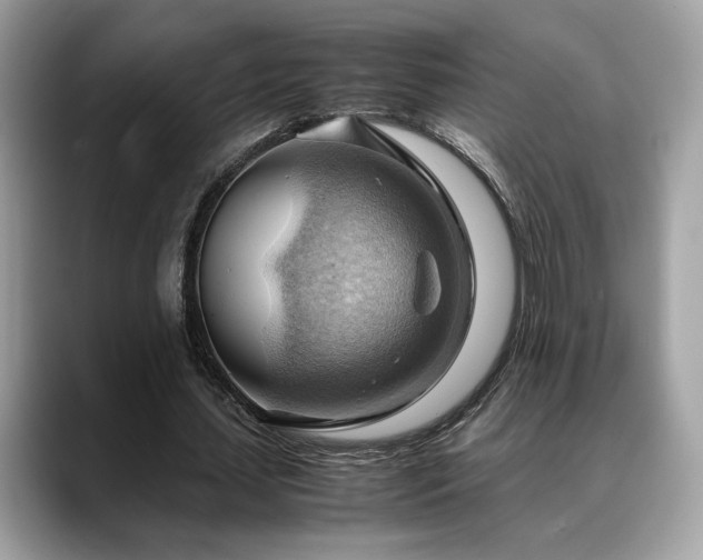 X0000088740627200705311448