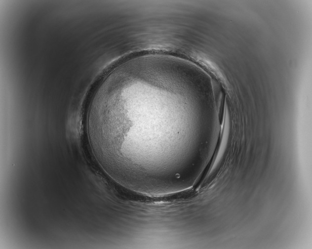 X0000088740628200705311448