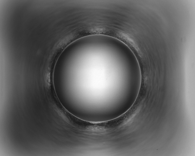 X0000088740633200705311448