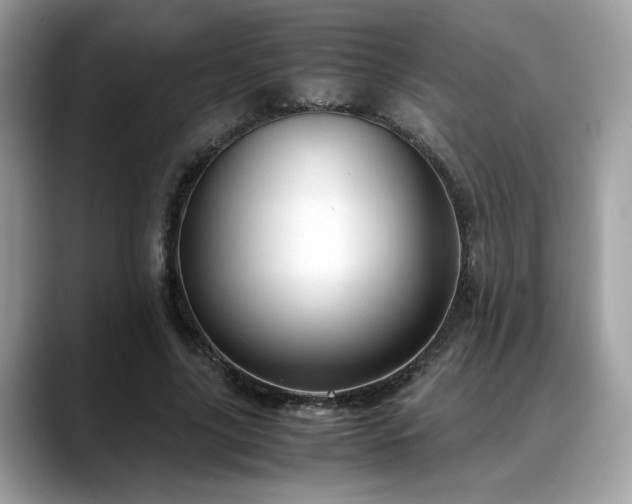 X0000088740635200705311448