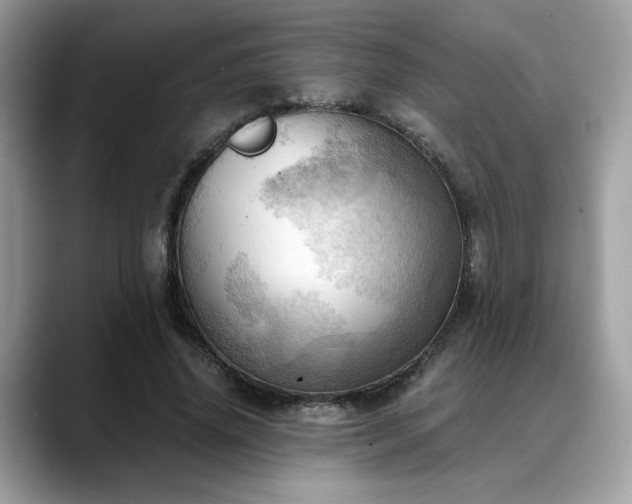 X0000088740636200705311448