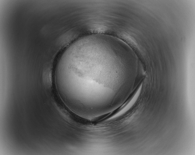 X0000088740638200705311448