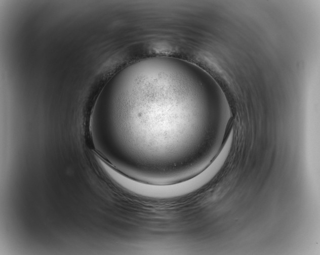 X0000088740639200705311448