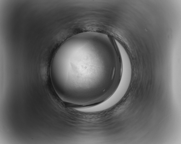 X0000088740641200705311448