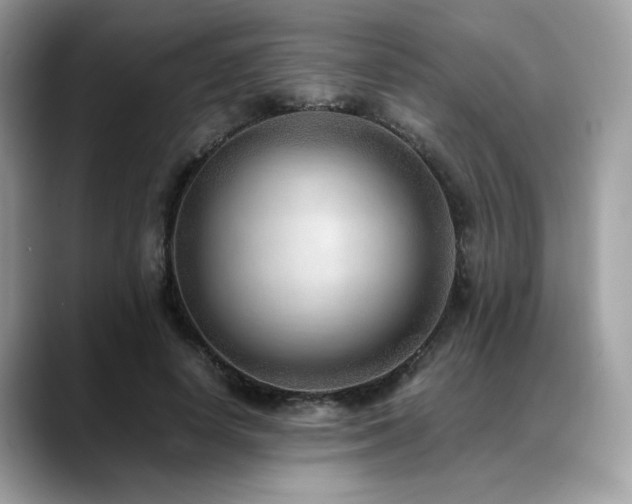 X0000088740642200705311448
