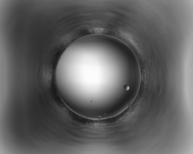 X0000088740645200705311448