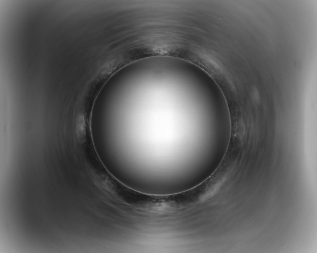 X0000088740646200705311448