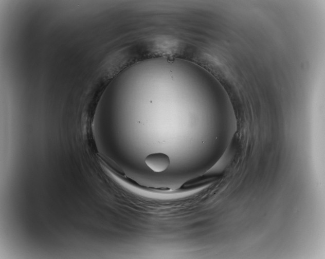 X0000088740647200705311448