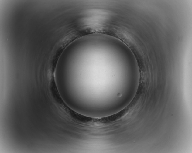 X0000088740648200705311448