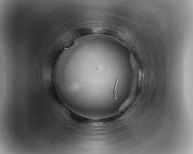 X0000088740650200705311448