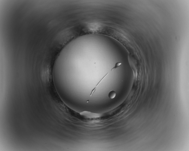 X0000088740651200705311448