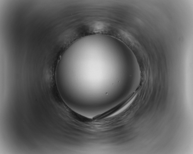 X0000088740653200705311448