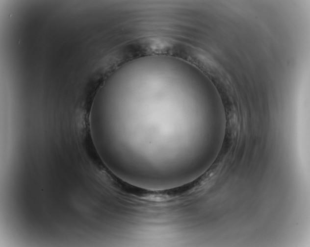 X0000088740654200705311448