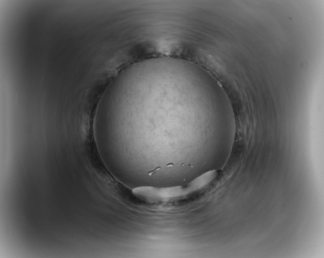 X0000088740656200705311448
