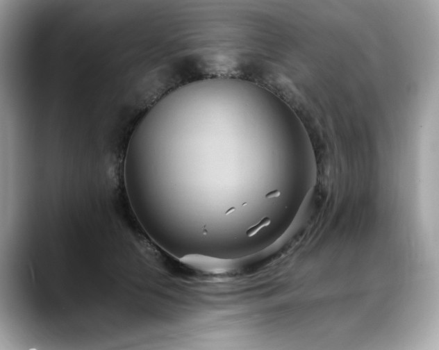 X0000088740658200705311448
