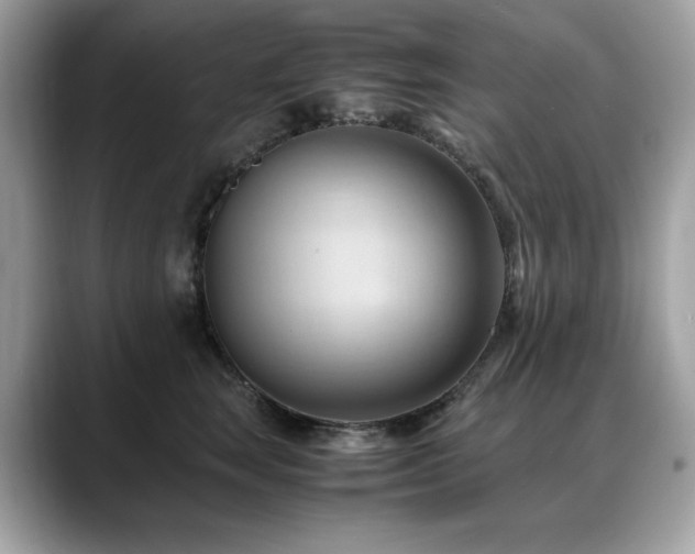 X0000088740663200705311448