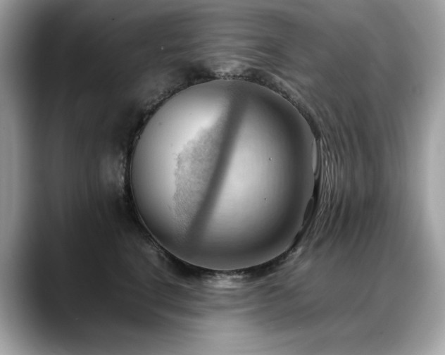 X0000088740664200705311448