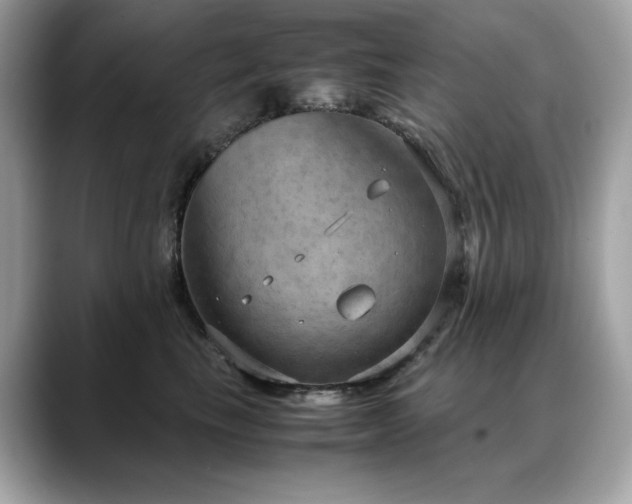 X0000088740665200705311448