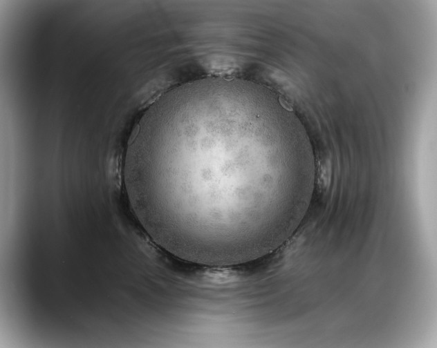 X0000088740666200705311448
