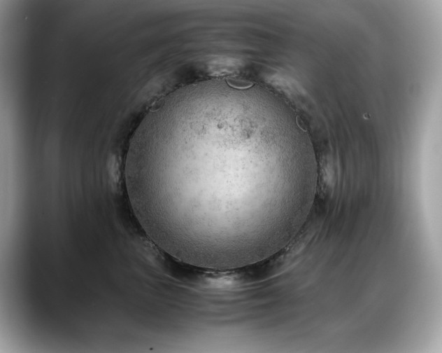 X0000088740667200705311448