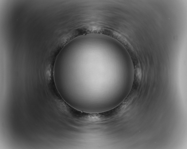 X0000088740668200705311448