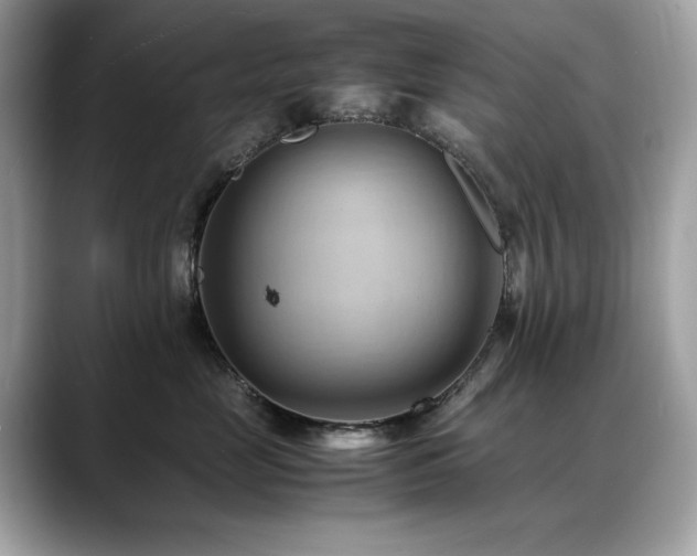 X0000088740669200705311448