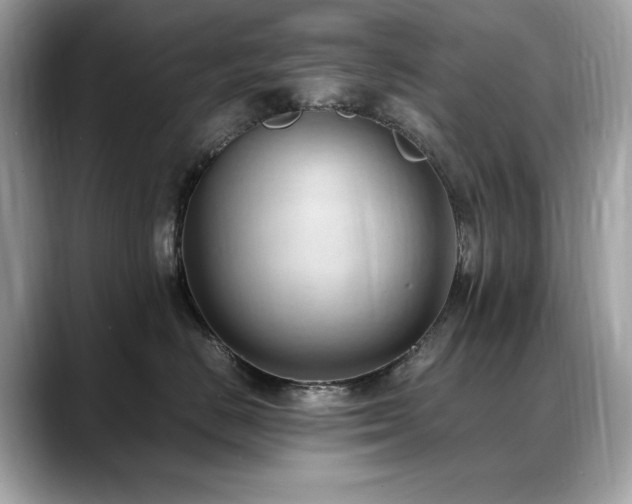 X0000088740670200705311448