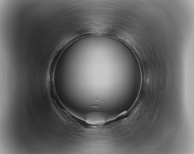 X0000088740674200705311448
