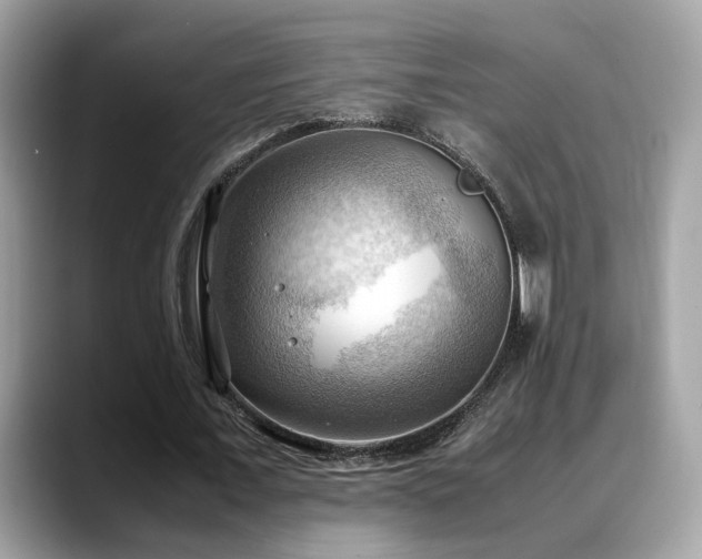 X0000088740675200705311448