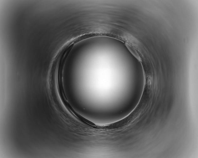 X0000088740676200705311448