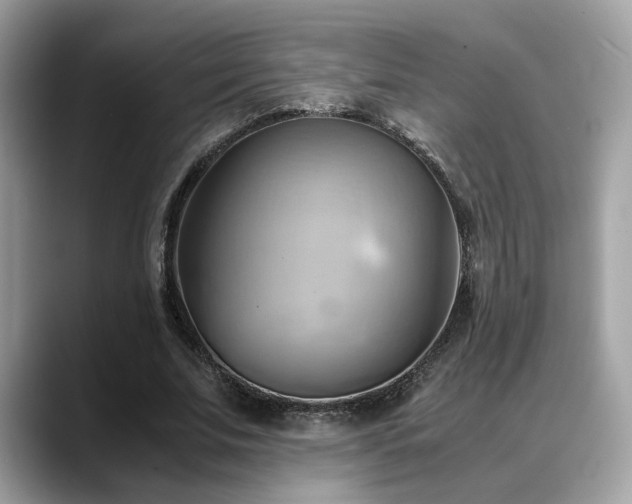 X0000088740679200705311448