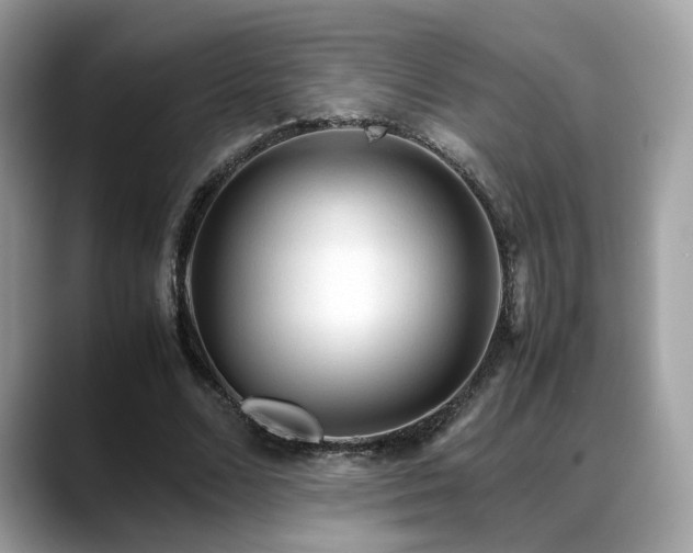 X0000088740680200705311448