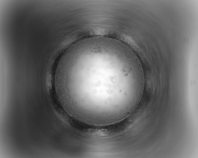 X0000088740683200705311448