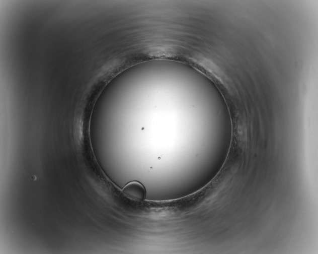 X0000088740686200705311448
