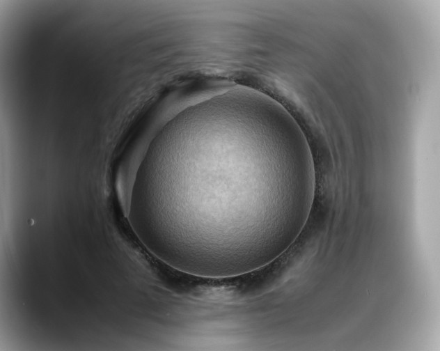 X0000088740689200705311447