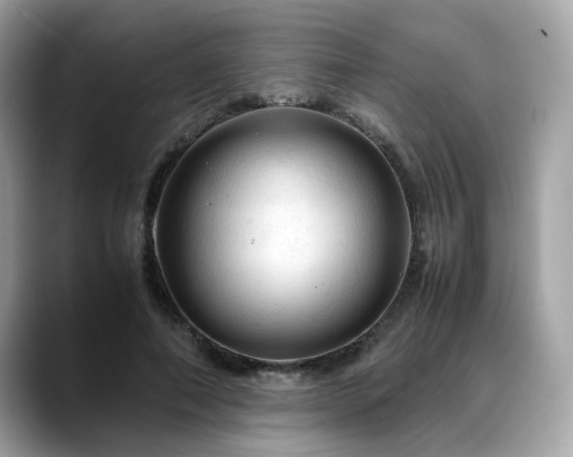 X0000088740690200705311447