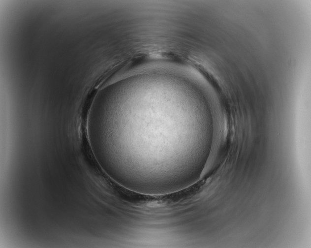 X0000088740692200705311447