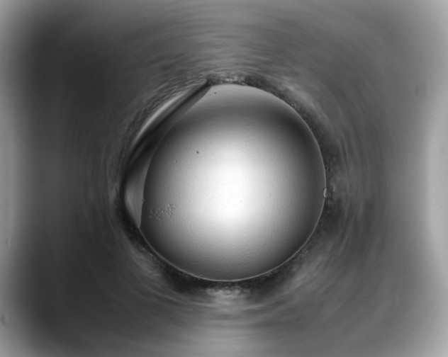 X0000088740693200705311447
