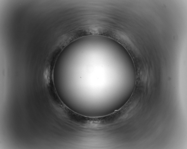 X0000088740694200705311447